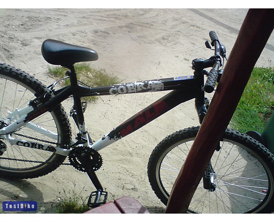 Mali Cobra 2008, vork képe mtb